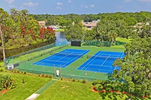 11829 Ivywood Pl, New Port Richey, FL 34654 - Photo 61