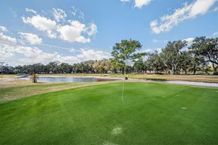 36816 Hibiscus Ct, Zephyrhills, FL 33542 - Photo 85