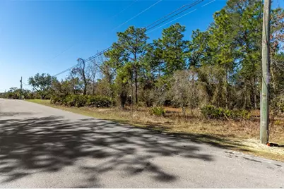 8447 Mazette Road, Weeki Wachee, FL 34613 - Photo 11