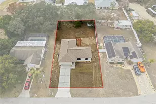 351 Upland Ave, Spring Hill, FL 34606 - Photo 5