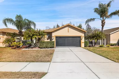 20907 Diamonte Drive, Land O Lakes, FL 34637 - Photo 1