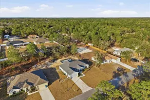 12015 Phoenix Ave, Weeki Wachee, FL 34614 - Photo 5