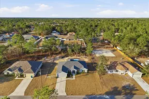 12015 Phoenix Ave, Weeki Wachee, FL 34614 - Photo 3