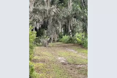 16145 Snow Memorial Highway, Brooksville, FL 34601 - Photo 31