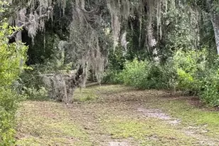 16145 Snow Memorial Hwy, Brooksville, FL 34601 - Photo 31
