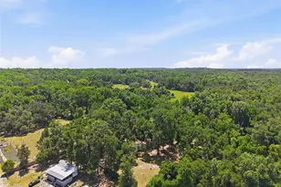 16145 Snow Memorial Hwy, Brooksville, FL 34601 - Photo 53