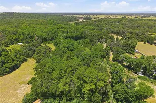 16145 Snow Memorial Hwy, Brooksville, FL 34601 - Photo 49
