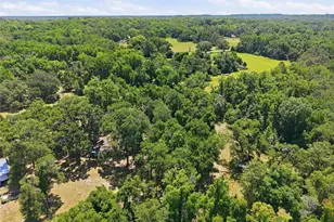 16145 Snow Memorial Hwy, Brooksville, FL 34601 - Photo 45