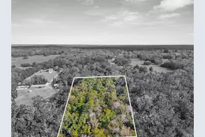 16145 Snow Memorial Highway, Brooksville, FL 34601 - Photo 27