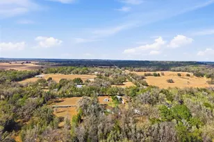 16145 Snow Memorial Hwy, Brooksville, FL 34601 - Photo 31