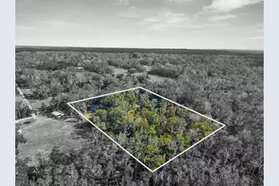 16145 Snow Memorial Highway, Brooksville, FL 34601 - Photo 25