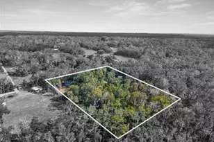 16145 Snow Memorial Hwy, Brooksville, FL 34601 - Photo 25