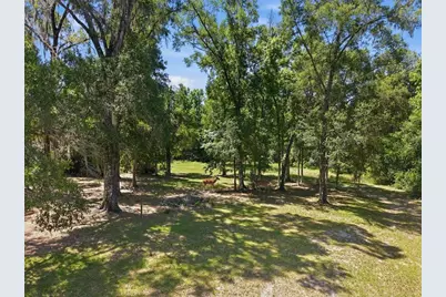 16145 Snow Memorial Highway, Brooksville, FL 34601 - Photo 59