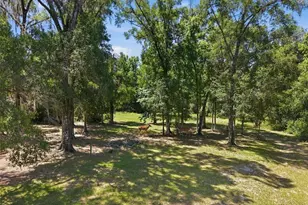 16145 Snow Memorial Hwy, Brooksville, FL 34601 - Photo 59