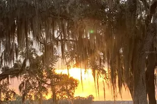 25059 NE 143rd Pl NE, Fort Mc Coy, FL 32134 - Photo 41