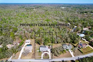 10655 Lakeview Dr, New Port Richey, FL 34654 - Photo 81