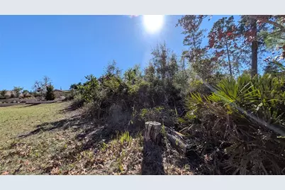13014 Hanley Drive, Spring Hill, FL 34609 - Photo 5