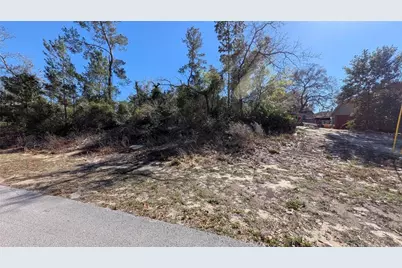 13014 Hanley Drive, Spring Hill, FL 34609 - Photo 11