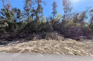13014 Hanley Dr, Spring Hill, FL 34609 - Photo 1