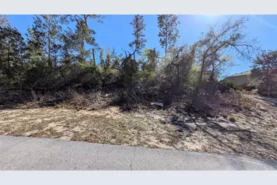 13014 Hanley Drive, Spring Hill, FL 34609 - Photo 9