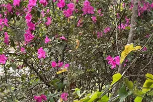 5301 NW 25th Pl., Gainesville, FL 32606 - Photo 25