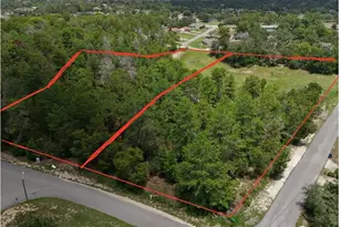 2281 Fayson Ln, Spring Hill, FL 34609 - Photo 1