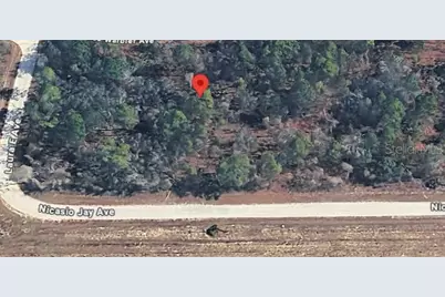 17496 Nicasio Jay Avenue, Weeki Wachee, FL 34614 - Photo 3