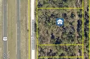 17496 Nicasio Jay Ave, Weeki Wachee, FL 34614 - Photo 1