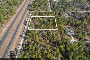 17496 Nicasio Jay Ave, Weeki Wachee, FL 34614 - Photo 1