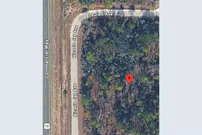 17496 Nicasio Jay Avenue, Weeki Wachee, FL 34614 - Photo 7