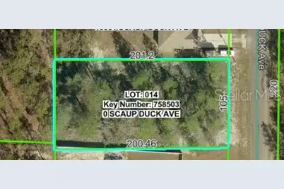 16051 Scaup Duck Avenue, Weeki Wachee, FL 34614 - Photo 3