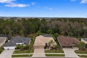 1450 Warrington Way, Trinity, FL 34655 - Photo 45