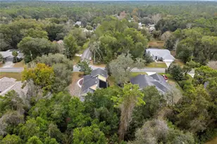 46 Greentree St, Homosassa, FL 34446 - Photo 47