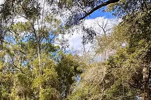 15561 Wilson Blvd, Brooksville, FL 34604 - Photo 15