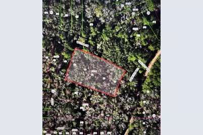 8748 W Elba Place, Homosassa, FL 34448 - Photo 1