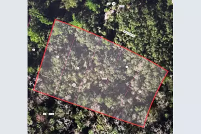 8748 W Elba Place, Homosassa, FL 34448 - Photo 3