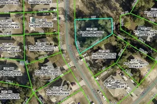 3060 Pintado Ave, Spring Hill, FL 34609 - Photo 1