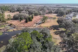 34481 Cedarfield Dr, Ridge Manor, FL 33523 - Photo 65