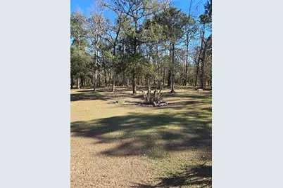 12220 Timber Lane, Brooksville, FL 34601 - Photo 5