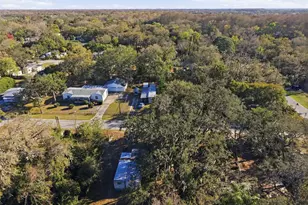 9239 Ottawa St, New Port Richey, FL 34654 - Photo 23