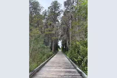 15090 Caravan Avenue, Odessa, FL 33556 - Photo 49