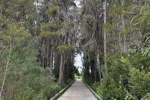 15090 Caravan Ave, Odessa, FL 33556 - Photo 49