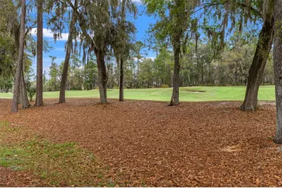 19571 Lily Pond Court, Brooksville, FL 34601 - Photo 51