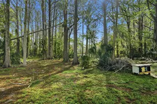 8604 Cameo Dr, New Port Richey, FL 34654 - Photo 25