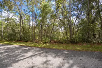 3210 E Michael Street, Inverness, FL 34453 - Photo 3
