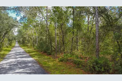 3210 E Michael Street, Inverness, FL 34453 - Photo 5