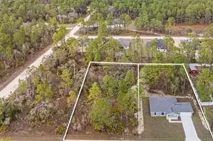 11107 Wood Owl Ave, Weeki Wachee, FL 34614 - Photo 41