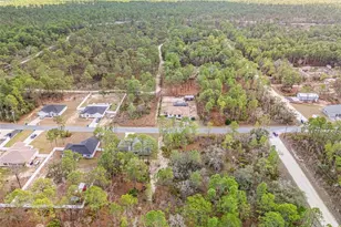 11107 Wood Owl Ave, Weeki Wachee, FL 34614 - Photo 39