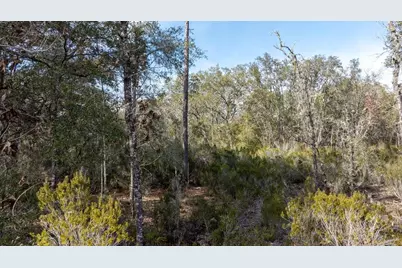 Ne 90th Street, Bronson, FL 32621 - Photo 9