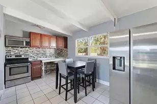 4103 W Pearl Ave, Tampa, FL 33611 - Photo 13